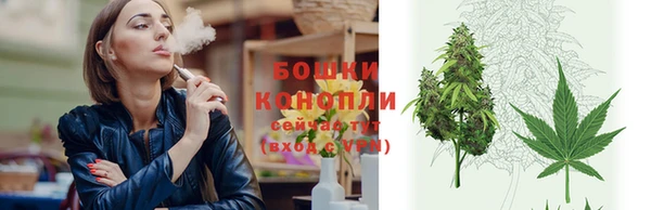 стаф Бердск