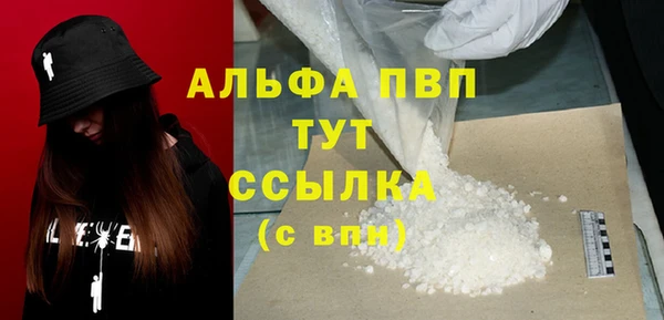 скорость Новозыбков