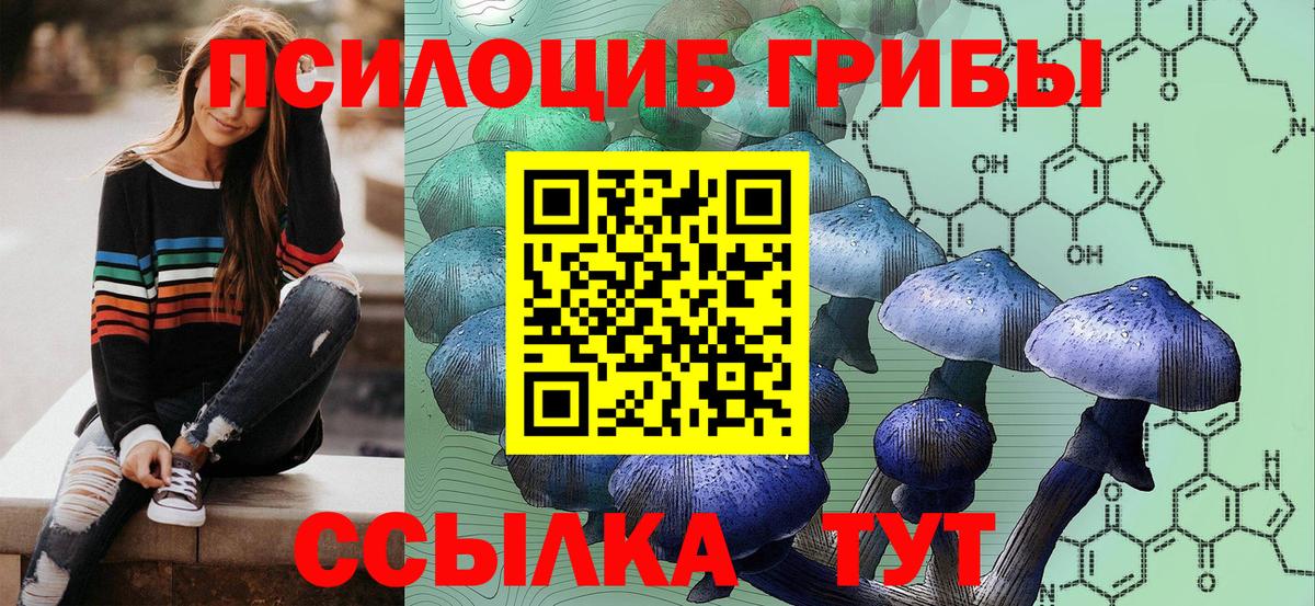 Псилоцибиновые грибы Psilocybe  Вход с VPN  наркота  Югорск 