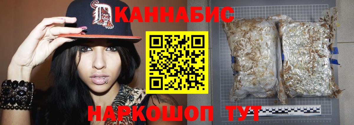 Конопля сатива Югорск